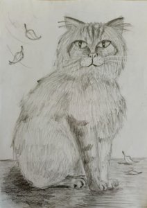 Косинцева Ариадна - Кошка Кремка